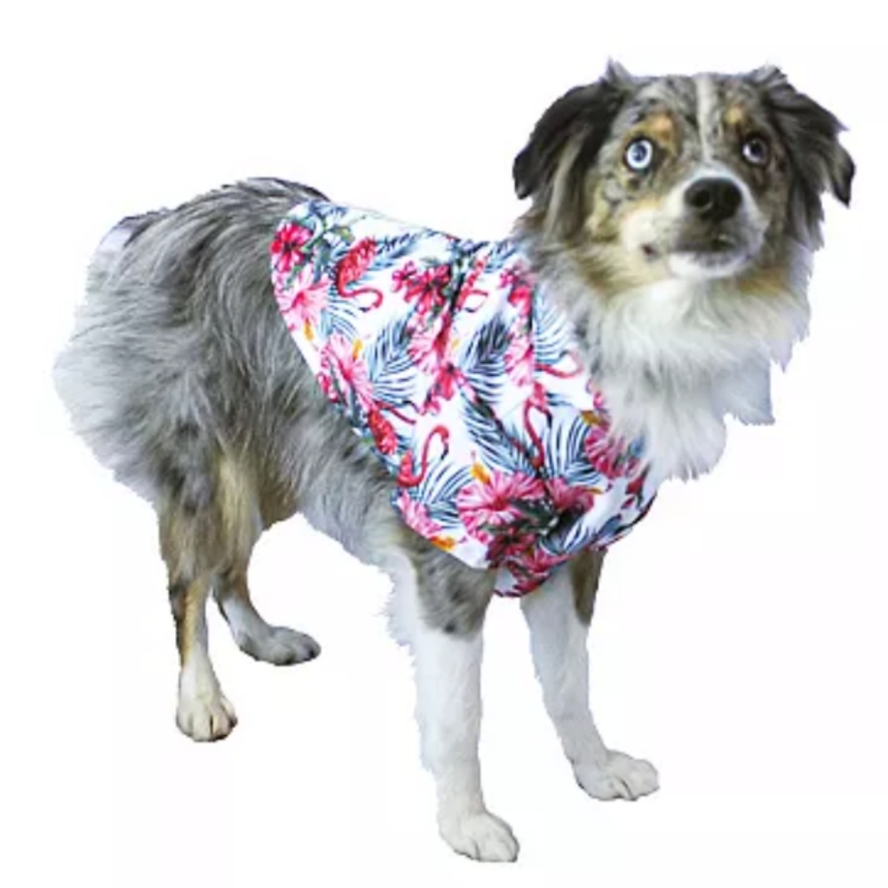 Hawaiian shirt for your pup 🐕